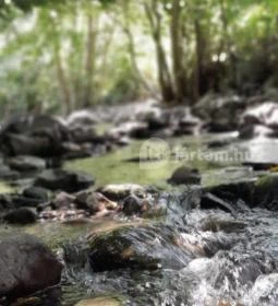 Kemencei Erdei Múzeum Vasút