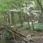 Kemencei Erdei Múzeum Vasút Kemence - Egyéb