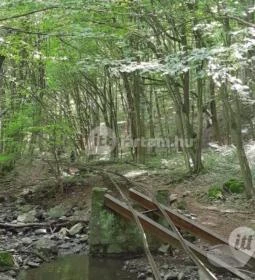 Kemencei Erdei Múzeum Vasút