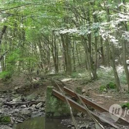 Kemencei Erdei Múzeum Vasút Kemence - Egyéb