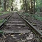 Kemencei Erdei Múzeum Vasút Kemence - Egyéb