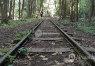 Kemencei Erdei Múzeum Vasút Kemence