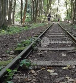 Kemencei Erdei Múzeum Vasút