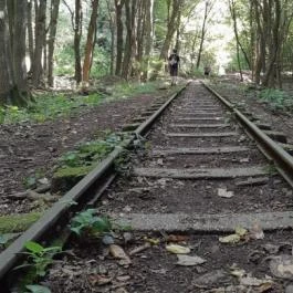 Kemencei Erdei Múzeum Vasút Kemence - Egyéb