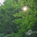 Kemencei Erdei Múzeum Vasút Kemence - Egyéb