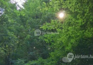 Kemencei Erdei Múzeum Vasút Kemence