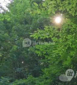 Kemencei Erdei Múzeum Vasút