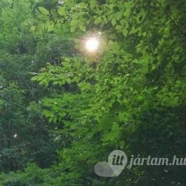 Kemencei Erdei Múzeum Vasút Kemence - Egyéb