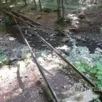 Kemencei Erdei Múzeum Vasút Kemence - Egyéb