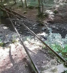 Kemencei Erdei Múzeum Vasút