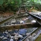 Kemencei Erdei Múzeum Vasút Kemence - Egyéb