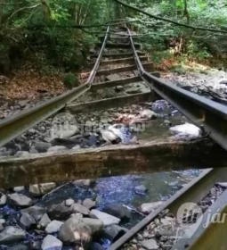 Kemencei Erdei Múzeum Vasút