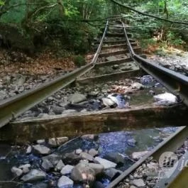 Kemencei Erdei Múzeum Vasút Kemence - Egyéb