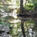 Kemencei Erdei Múzeum Vasút Kemence - Egyéb