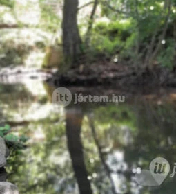 Kemencei Erdei Múzeum Vasút