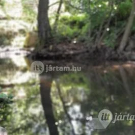 Kemencei Erdei Múzeum Vasút Kemence - Egyéb