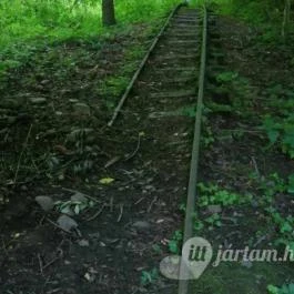 Kemencei Erdei Múzeum Vasút Kemence - Egyéb