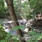 Kemencei Erdei Múzeum Vasút Kemence - Egyéb