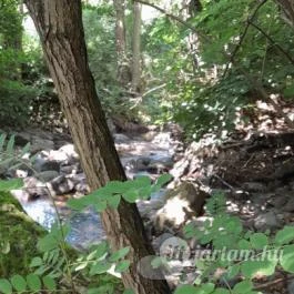 Kemencei Erdei Múzeum Vasút Kemence - Egyéb