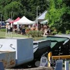 Kemencei Erdei Múzeum Vasút Kemence - Egyéb