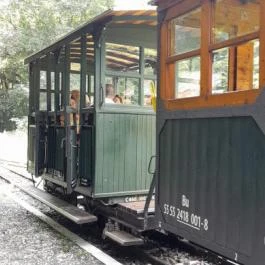 Kemencei Erdei Múzeum Vasút Kemence - Egyéb