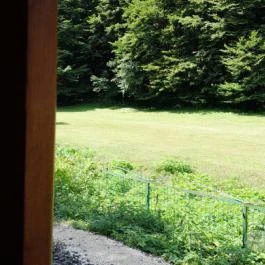 Kemencei Erdei Múzeum Vasút Kemence - Egyéb