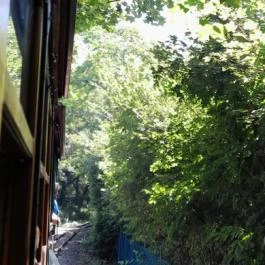 Kemencei Erdei Múzeum Vasút Kemence - Egyéb