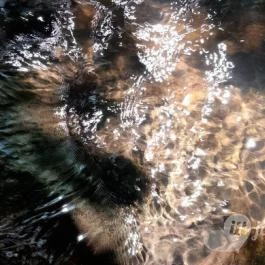 Kemencei Erdei Múzeum Vasút Kemence - Egyéb