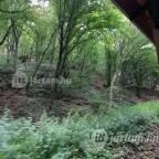 Kemencei Erdei Múzeum Vasút Kemence - Egyéb