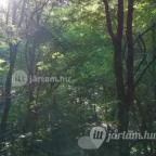 Kemencei Erdei Múzeum Vasút Kemence - Egyéb