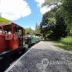 Kemencei Erdei Múzeum Vasút Kemence - Egyéb