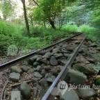 Kemencei Erdei Múzeum Vasút Kemence - Egyéb