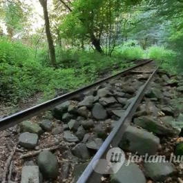 Kemencei Erdei Múzeum Vasút Kemence - Egyéb