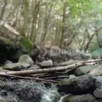 Kemencei Erdei Múzeum Vasút Kemence - Egyéb