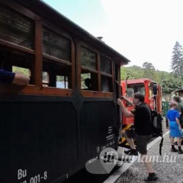 Kemencei Erdei Múzeum Vasút Kemence - Egyéb