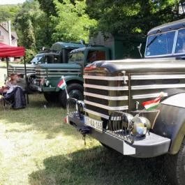 Kemencei Erdei Múzeum Vasút Kemence - Egyéb