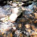 Kemencei Erdei Múzeum Vasút Kemence - Egyéb