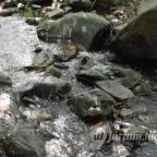 Kemencei Erdei Múzeum Vasút Kemence - Egyéb