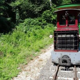 Kemencei Erdei Múzeum Vasút Kemence - Egyéb