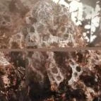 Királyrét tanösvény Szokolya - Egyéb