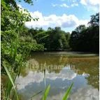 Királyrét tanösvény Szokolya - Egyéb