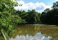 Királyrét tanösvény Szokolya