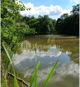 Királyrét tanösvény 