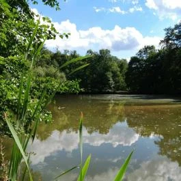 Királyrét tanösvény , Szokolya - Egyéb