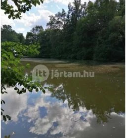 Királyrét tanösvény 