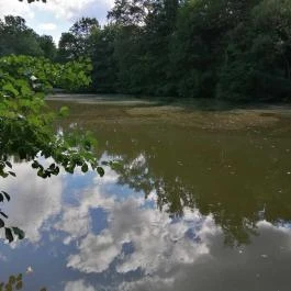 Királyrét tanösvény , Szokolya - Egyéb