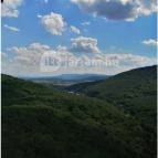 Királyrét tanösvény Szokolya - Egyéb