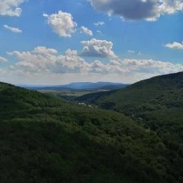 Királyrét tanösvény , Szokolya - Egyéb