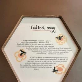 Királyrét tanösvény , Szokolya - Egyéb