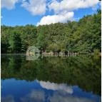 Királyrét tanösvény Szokolya - Egyéb